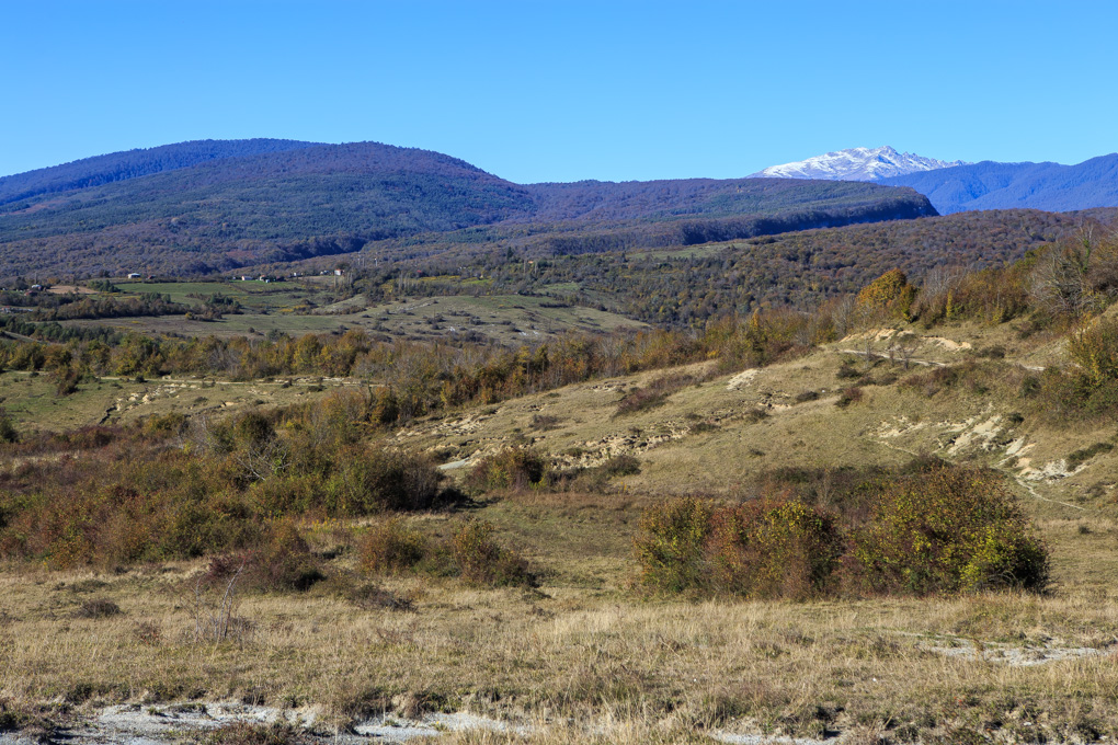 Tsebelda